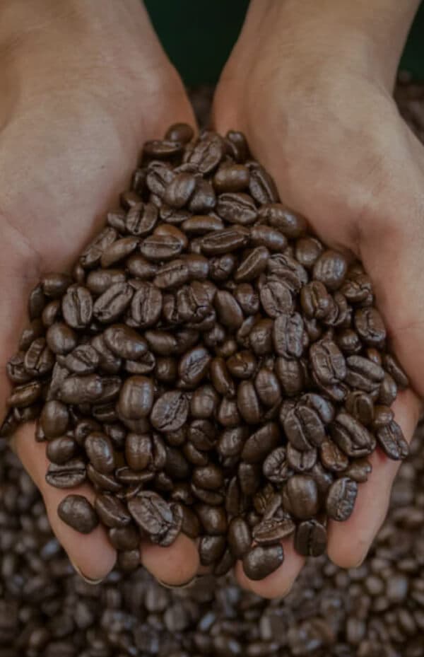 Planet Bean Coffee Banner